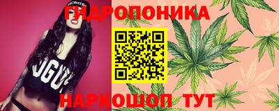 СК Белореченск