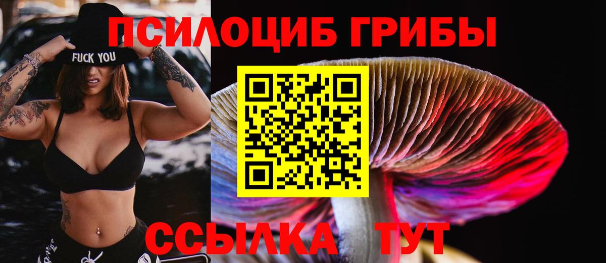 Галлюциногенные грибы Psilocybe  Вход с VPN  Оренбург 